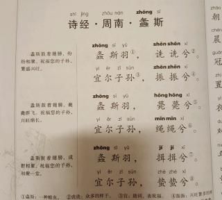 螽斯衍庆如鼓琴瑟怎么读,结婚祝福语成语图3