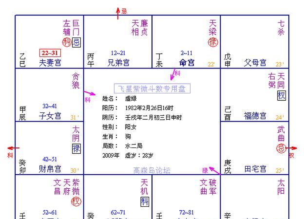 免费超准紫微斗数算命,紫薇命盘详解与分析免费图3