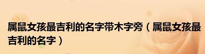 带木字旁的男孩名字,男孩取名字寓意好的字2022年图3