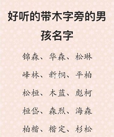 带木字旁的男孩名字,男孩取名字寓意好的字2022年图4