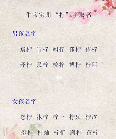 如何给孩子起名,如何给孩子取个好名字免费图5