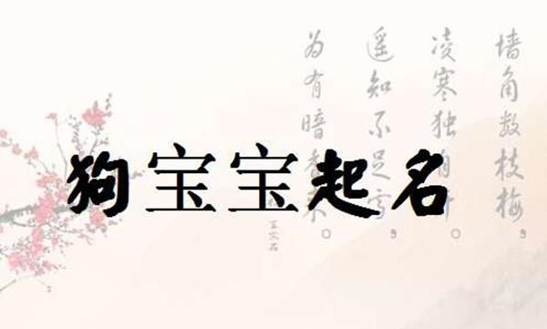 兔年出生的宝宝取名宝典,张姓兔年出生取名最佳的字图6