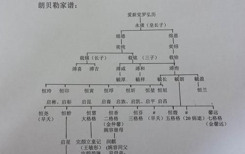 爱新觉罗族谱,爱新觉罗家族的后代图1