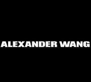 alexander什么意思,alexander mcqueen的中文什么图2