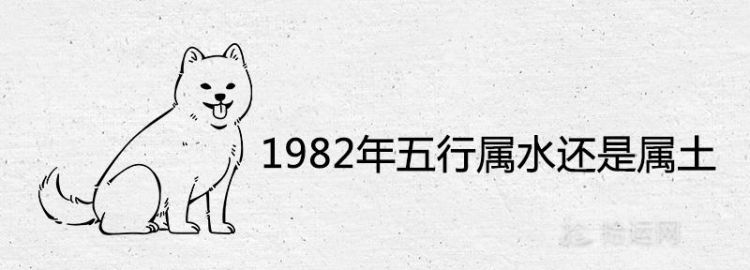 出生是什么命,82年属狗什么命五行属什么图3