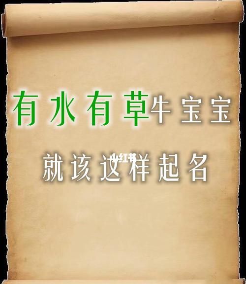 牛宝宝带水带木的名字,含水和木的名字大全集女孩图2