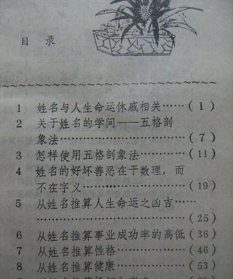 姓名测人生张旺丁,女人旺财旺夫的名字两个字图3