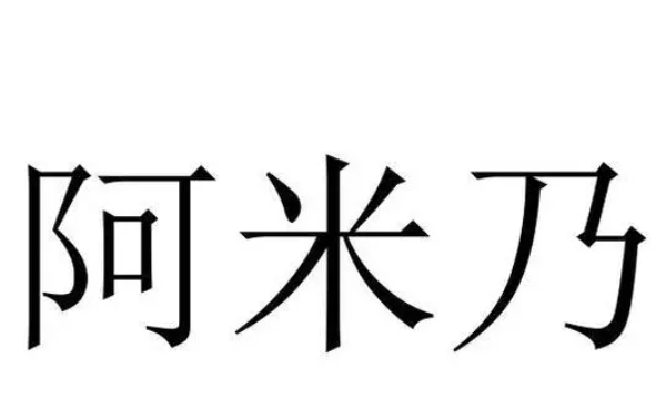 回族的阿米乃什麼意思