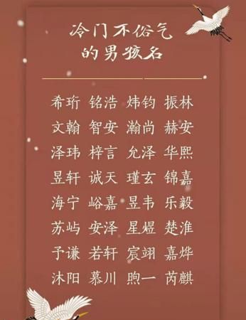 冷门又高级的女孩名字,冷门且好听的女孩名字推荐(简单大方)图4