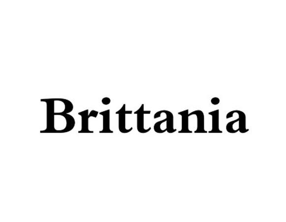 brittani,全美超模大赛第十六季冠军是谁啊图2