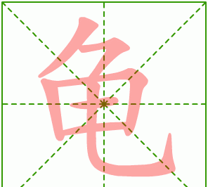 龟的部首,龟的部首是什么图3