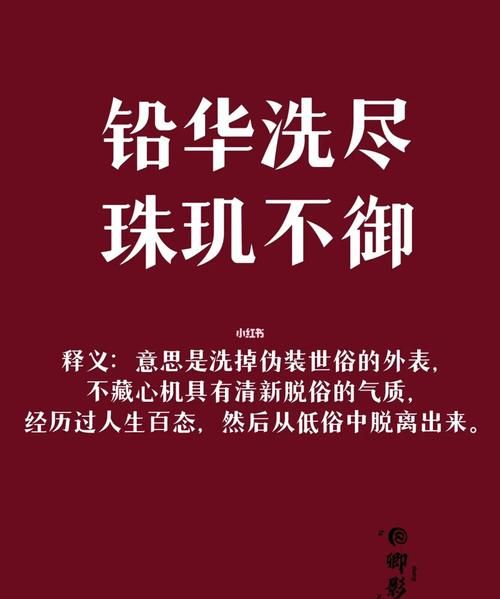 铅华洗尽珠玑不御意思,珠玑不御怎么解释?图1