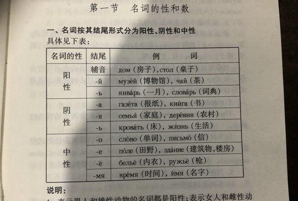 代词五格是什么,代词主格宾格形容词性物主代词表格图4