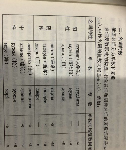 代词五格是什么,代词主格宾格形容词性物主代词表格图5