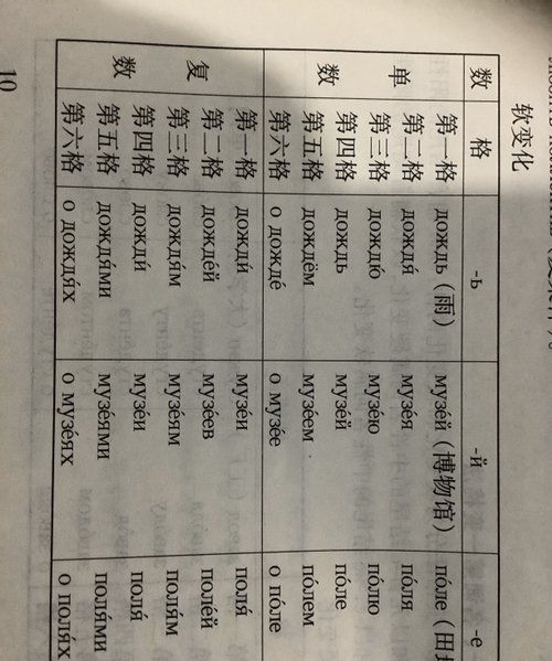 代词五格是什么,代词主格宾格形容词性物主代词表格图6