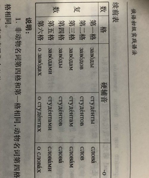 代词五格是什么,代词主格宾格形容词性物主代词表格图7