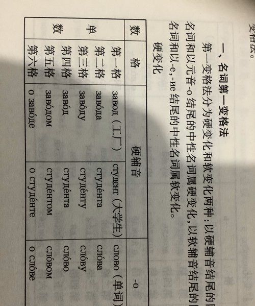 代词五格是什么,代词主格宾格形容词性物主代词表格图8