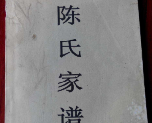 陈姓家谱辈分查询,陈家家谱全部的字辈有哪些名字图2