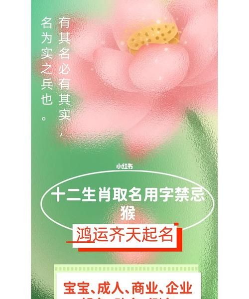 取名网鸿运测名,8月20日4点9分生女孩叫什么名字好图1