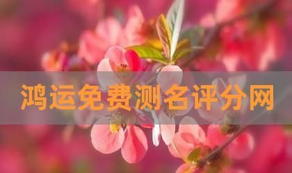 取名网鸿运测名,8月20日4点9分生女孩叫什么名字好图2