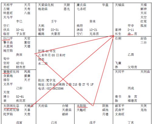 免费紫微斗数命盘详解,紫薇命理是什么图1