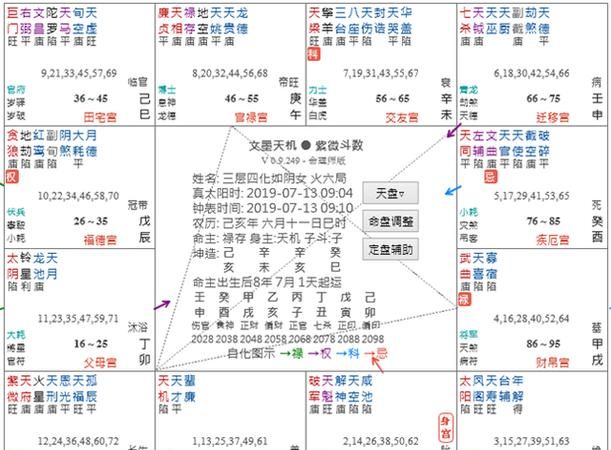 免费紫微斗数命盘详解,紫薇命理是什么图3