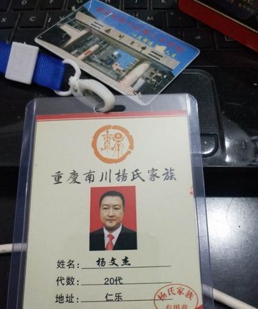 杨氏家族名字大全,杨氏字辈排行总汇·河南图6