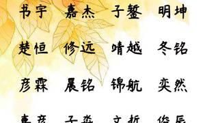 鼠年男宝宝取名字大全,鼠年寓意好大气的名字男孩图4