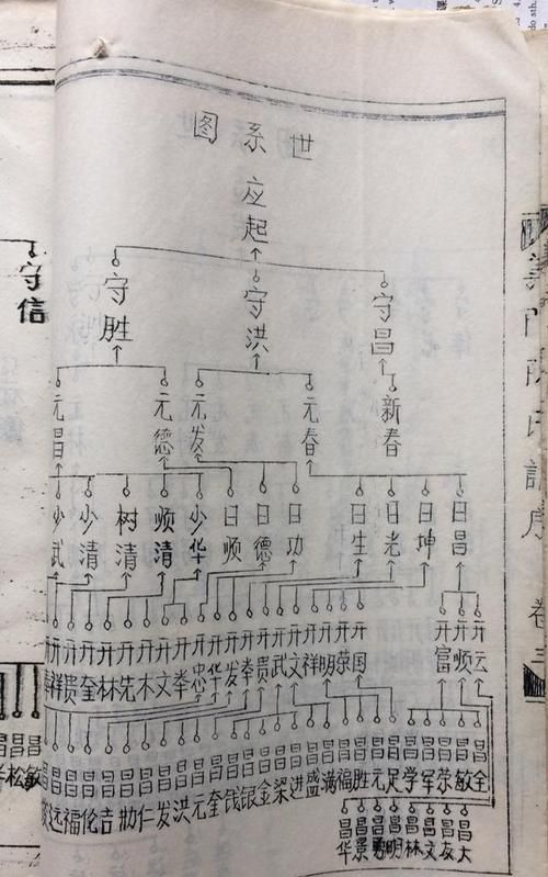 哪里能查到自己族谱,怎样知道自己家的族谱图3