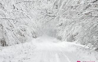 昨晚梦见大雪纷飞,女人梦见大雪纷飞是什么征兆图2