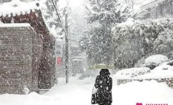 昨晚梦见大雪纷飞,女人梦见大雪纷飞是什么征兆图4