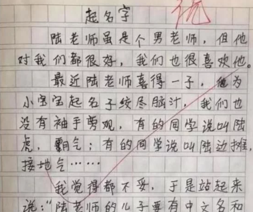 如何取好名字作文,有趣的名字优秀作文图1