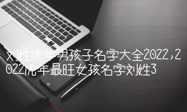 虎年男孩名字大全,属虎的男孩取名大全图2