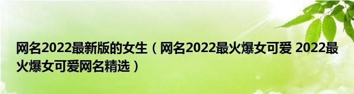 可爱网名大全2022最新版,2022年微信昵称女霸气图3