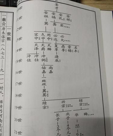 杜家最完整的家谱,四川杜氏家谱字辈大全图4