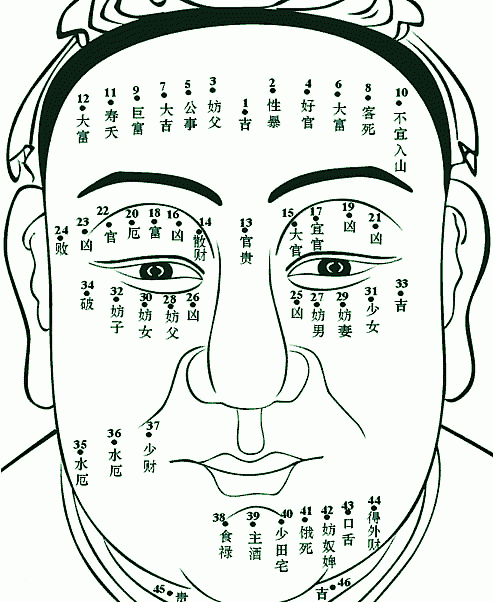 照片面相在线测试图片