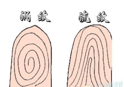 指纹算命口诀,手纹算命图解 男士左手还是右手图2