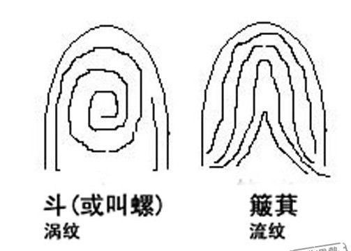 指纹算命口诀,手纹算命图解 男士左手还是右手图4