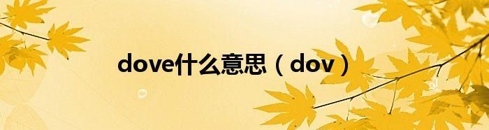 dove的意思,dove什么意思中文翻译图4