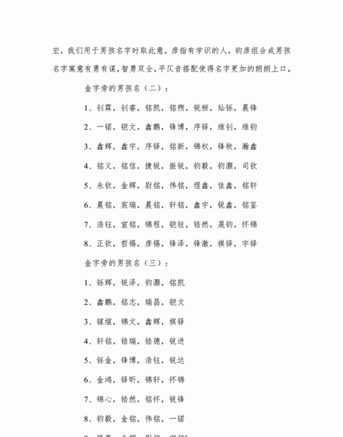 金字旁字最旺的字,五行属金最旺的字取名图3