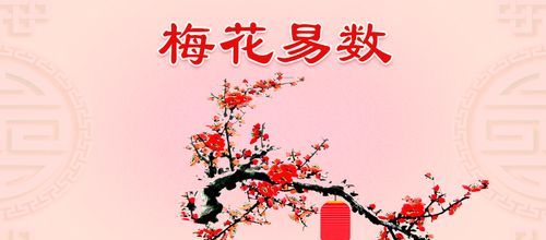 梅花易数在线排盘,用梅花易数排卦寻人 解卦图2