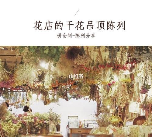 花店吊顶图片,花店的装修风格有哪些图11