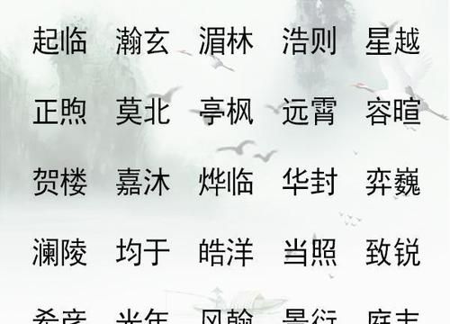 有含义的男孩名字,有恺的男孩子名字及寓意图8