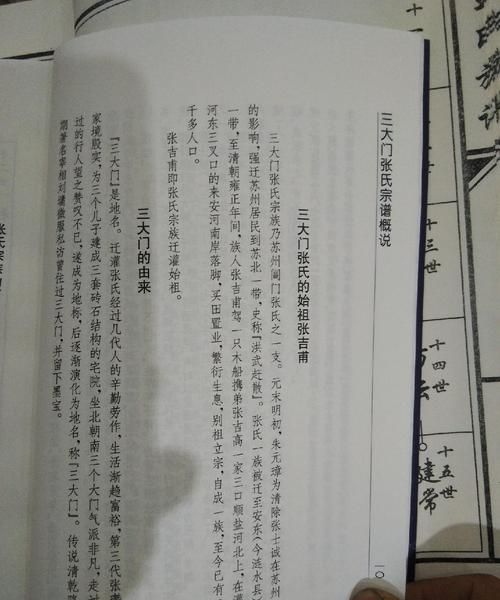 张氏家谱网正兴工地,富察氏家谱列表图2