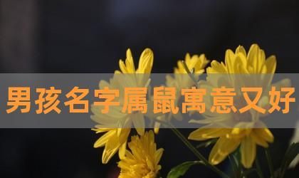 属鼠男孩吉利名字,鼠宝宝取名字最佳字男孩图2