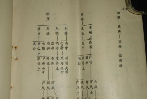 河南李氏家谱字辈查询,李姓多字辈族谱图4