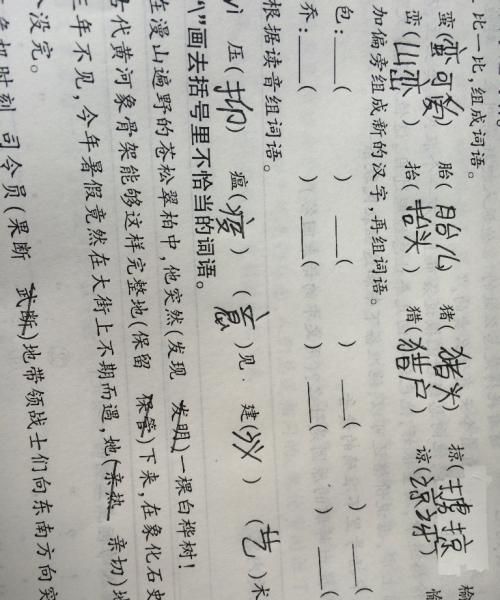 辫组词组词语有哪些,辫字怎么组词图3