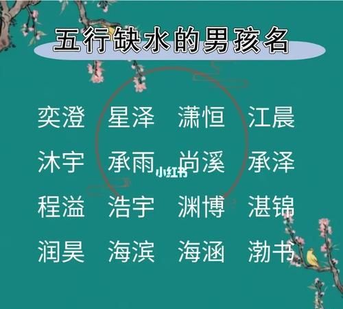 五行缺水的男孩取名用字有哪些,缺水缺木的男孩名字大全集图2