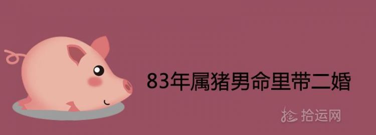 83年属什么的,83年属什么的生肖图4