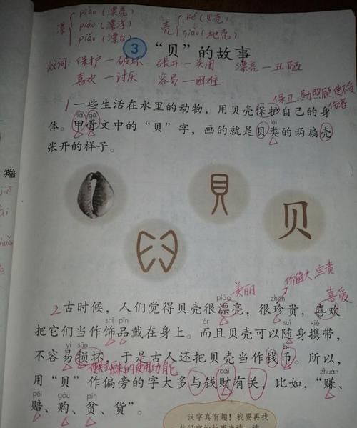 贝字旁的有什么字,贝的偏旁有什么字图2